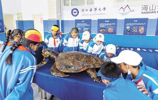 社会实践|把社会实践融入时代的春风里