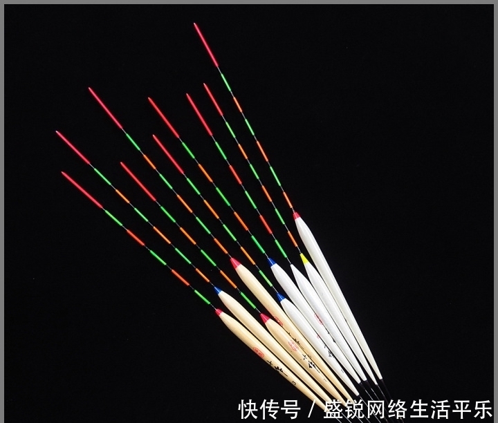 浅谈钓鱼入门装备（一）