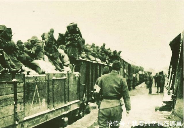 日寇|1938年日寇屠刀下的生死搏斗,没有奇迹,只有冰冷的数据