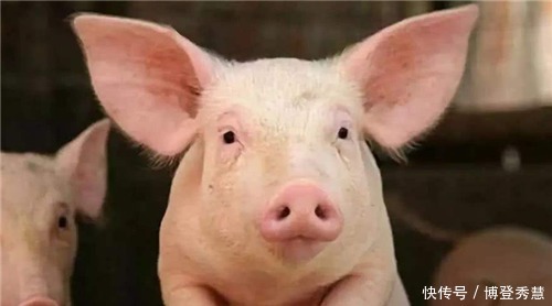 李贺|大明国姓是“朱”，百姓吃猪肉咋办？朱元璋改1字，多人读不出