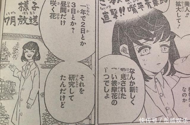 彼岸花日文怎么说