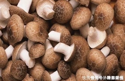 医生|香菇好吃营养,但医生提醒,这五种人一口都不能吃,有的赶紧改掉