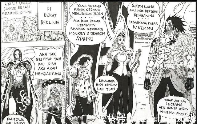 尾田|海賊王革命軍副統領出場，他的能力讓暗暗果實失效