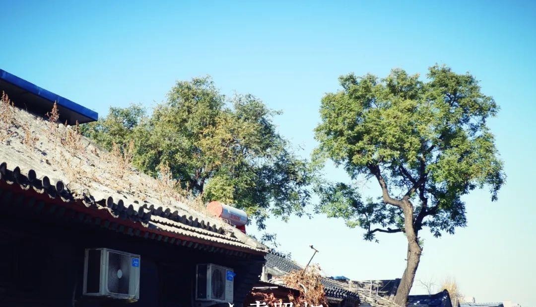 镜头|重拍北京旧日遗存,透过现实的镜头了解逝去的历史——新街口周边