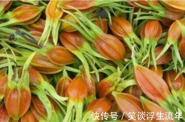 近视|女性常吃此物，不贫血，没白发，不近视，抗衰老，好处多多