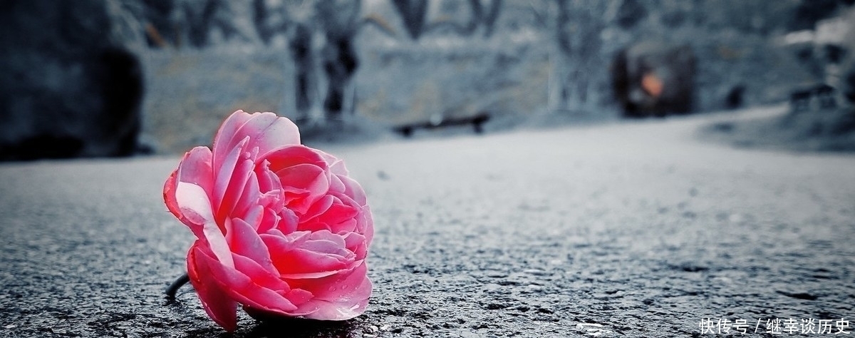 《人生海海》麦家认清生活真相,依然要活成自己的英雄