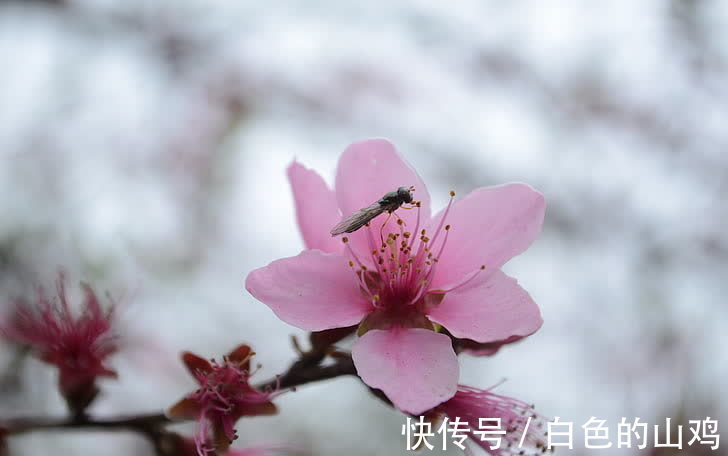 低谷|1月份，容易走出低谷，前景光明的生肖