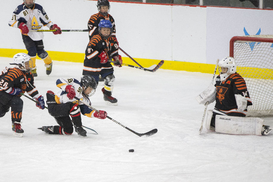 北京夢想ing隊(duì)|新華全媒+｜3600名小將！北京青少年冰球聯(lián)賽助燃冬奧熱情