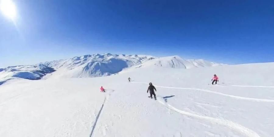 魅力|冬季来阿勒泰市，一起感受雪的魅力