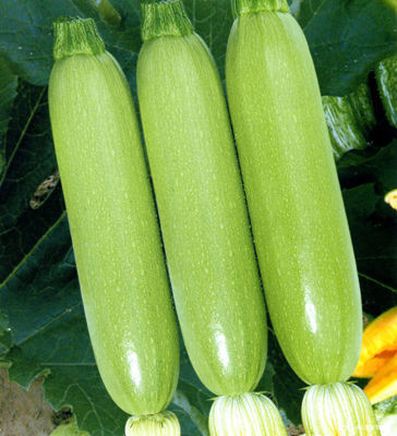 维生素e|女性养生要会吃,推荐几种食物,排毒养颜、补足气血,越吃越好