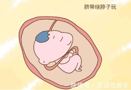 橙汁儿|子宫黑漆漆,胎儿会无聊吗这些“游戏”玩得可溜了