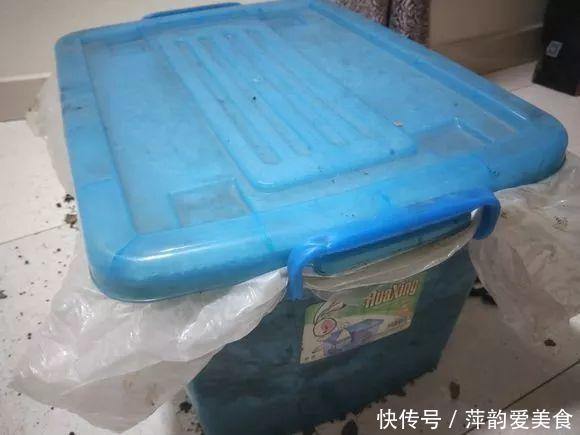 路边捡点它,开水一烫扔盆里,养花10年不烂根!