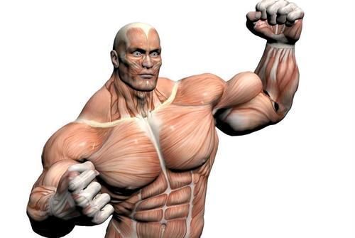 酸碱平衡|肾功能是什么?肌酐又是啥?血肌酐增高是否意味着肾功能不好了?