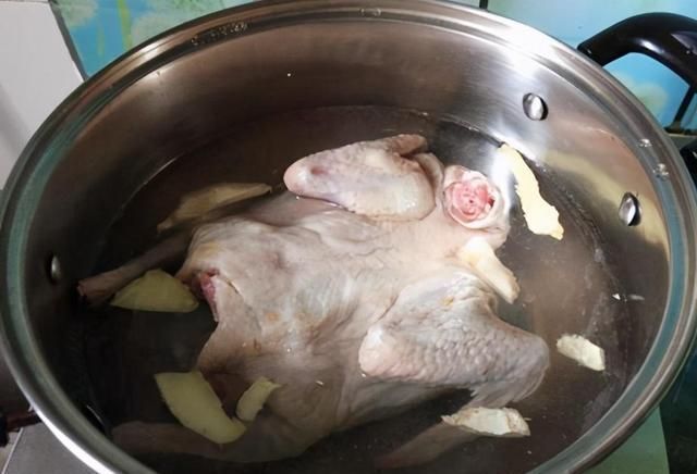 鲜肉|一鸽胜九鸡,冬日炖一碗鸽子汤,汤鲜肉嫩不腥,这样做营养更滋补