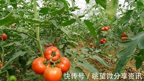 52岁大爷血管犹如20岁小伙，平时常吃4种食物，血管科医生：做得好！