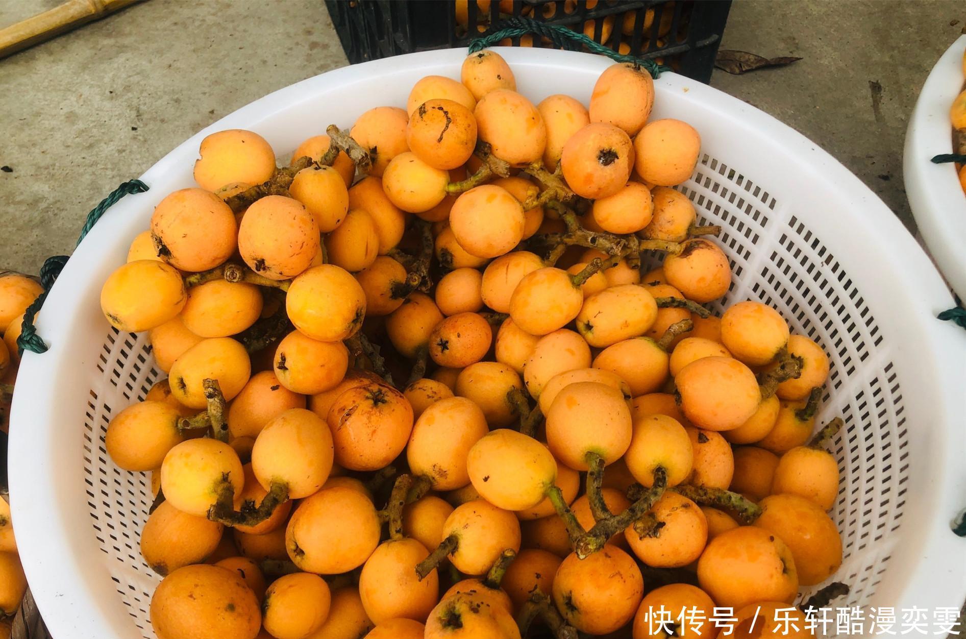 贫富|明日小满，夏日未满多吃“3果3菜”，无论贫富，顺利安康过夏天