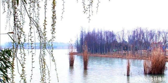 江苏徐州:春至潘安湖~烟雨朦胧风景如画