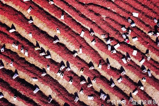 中年|苏州女子探秘南疆巴州:这是一处色彩的世界,超出你的想象