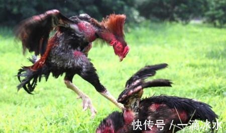 对联!地主自写对联为母贺寿,上联“天增岁月妈增寿”,下联笑掉大牙!