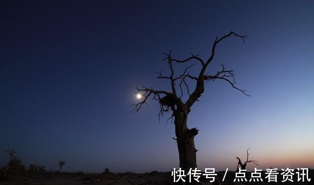 悲伤！苏轼最悲伤的一首词，字字让人落泪，第一句无人不知