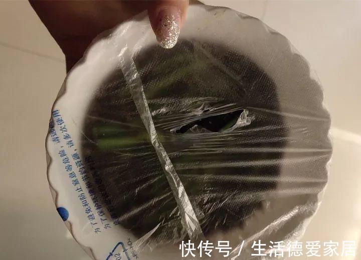 绿萝穷养，兰花富养，才能养成宝贝，你真的懂吗？