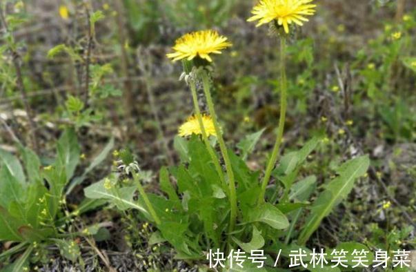 甲状腺肿大|卫生组织呼吁:不想甲状腺转恶,少吃“一黄、两绿”,尽快撤下桌