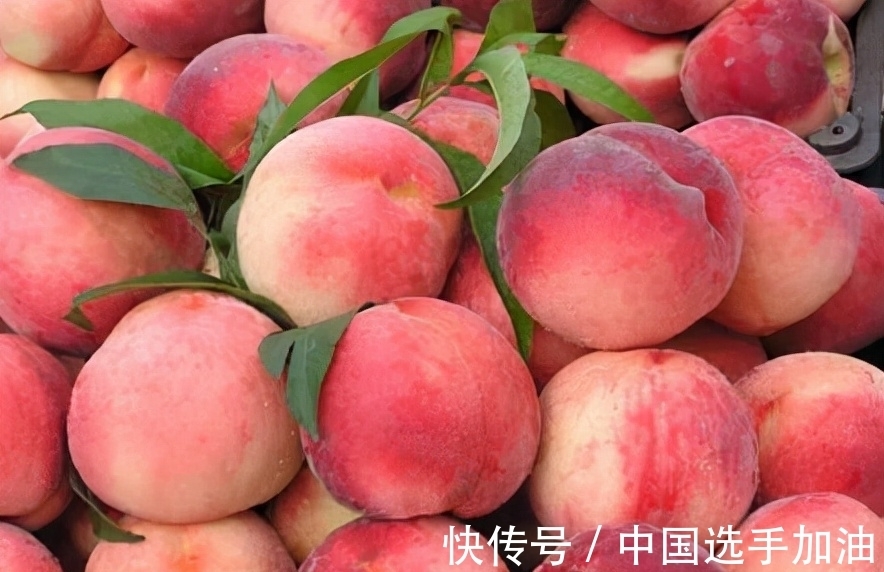 冬枣|大雪后,家里要有的3种“富贵果”,寓意幸福健康富贵吉祥