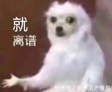 名额|首付3成变4成!退房得赔几十万,我该咋办?