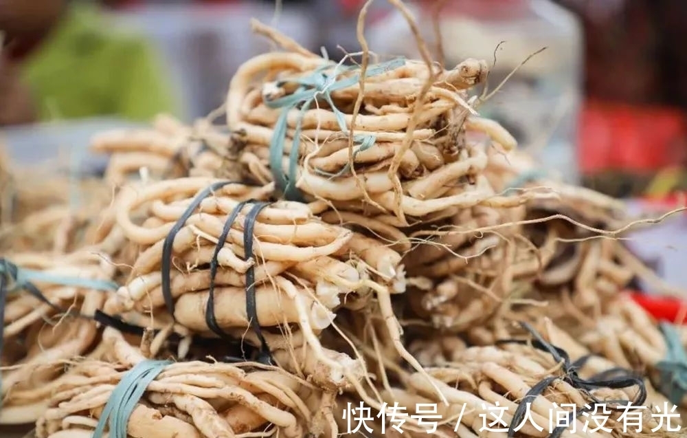 俗称“绣花针”,很多人的童年阴影,殊不知根部珍贵,尽量少挖
