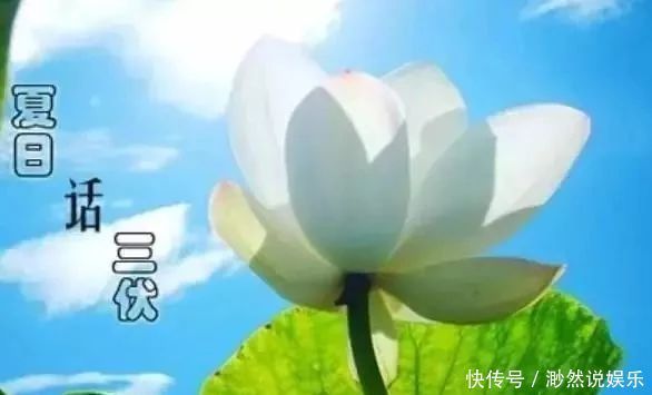 三伏天，护住阳气，常饮二水，多食三物，做好四事，安稳过一夏