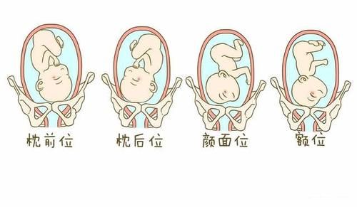 体重|若已决定顺产生娃，孕期就要提前做准备，保障好各方面条件