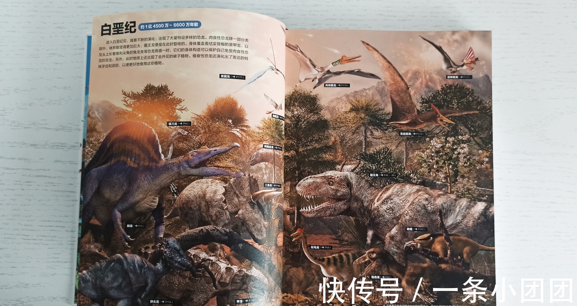 哆啦a梦#一本关于恐龙的百科书,让孩子爱上恐龙的世界