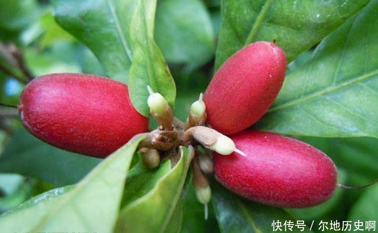 经常失眠怎么办睡前常吃3种食物,或许帮你缓解失眠