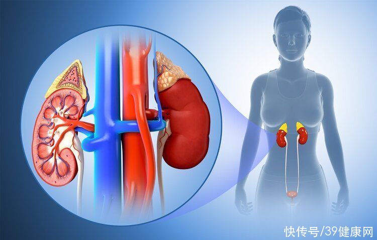 第二附属医院|为什么“尿毒症”越来越多？听一句劝：4个习惯别碰，肾会感谢你