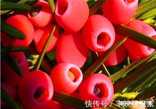 补肾|秋季养生正当时,多吃4种食物,能保肝补肾,改善体质,早吃早好