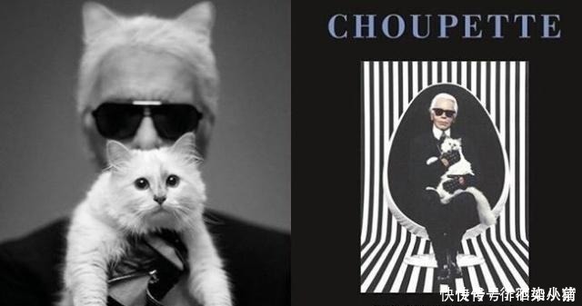 时尚界|世界上生活最奢侈的猫,当属老佛爷的最爱,富裕镇压“王可可”