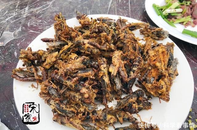 农村330元一桌的宴席,鸡鸭鱼肉都有,利润在哪