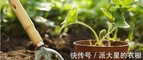 方铅矿|先有鸡还是先有蛋？问题终于被正式解答了告诉你九个有趣的冷知识