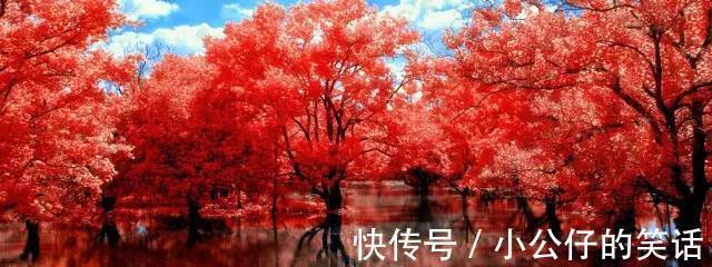 嵌字诗|今天9月9日,如此才华横溢的诗,你见过吗?绝!太绝了!