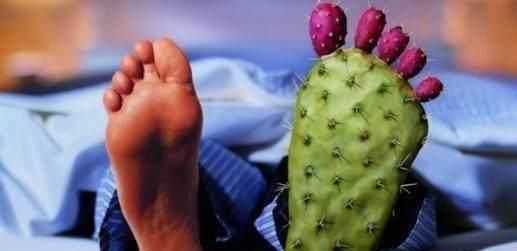 绿豆芽|绿豆芽和黄豆芽,营养上有区别吗?营养师:脂肪含量相差十几倍