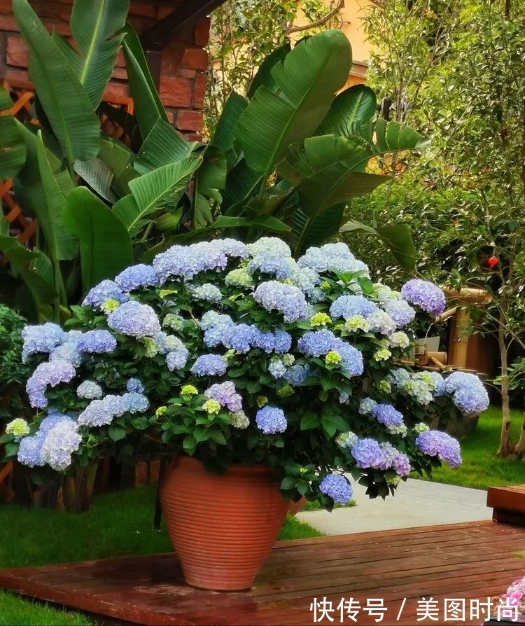 下午茶|一楼430㎡大院子，用1年半建成花园，网友：你这是建了个公园吧？