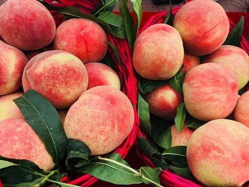 孙悟空没参加蟠桃宴,为何那么生气你看宾客名单,换你也不能忍