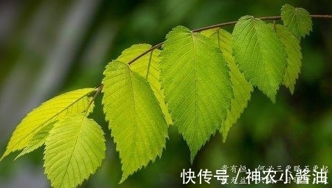 很反感|用对方法黏着12星座,让他反过来更依赖你