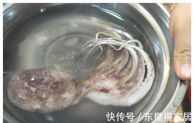 八爪鱼|孩子拿来玩的八爪鱼,我炒来吃了,红烧的很香