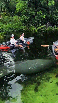 |搞笑GIF:妹子穿这么脑洞大开的衣服上街,就不觉得尴尬吗