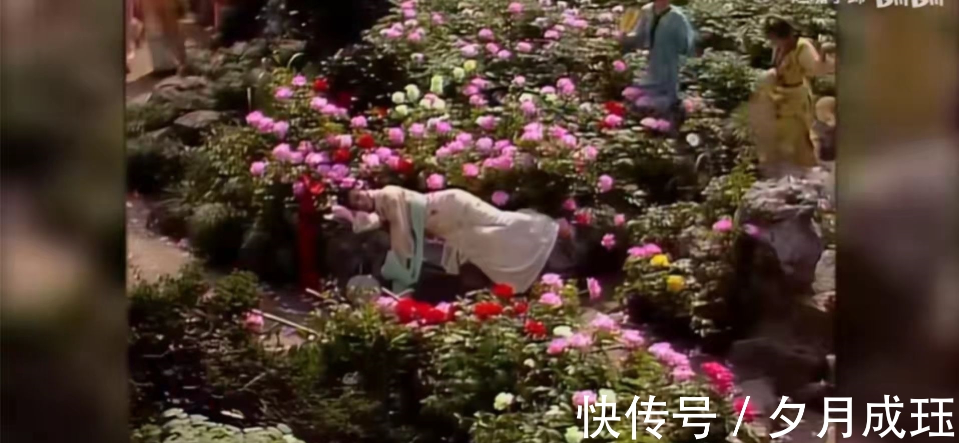 芍药!没有对比就没有伤害,一个简单的睡姿,看两版《红楼梦》的差距