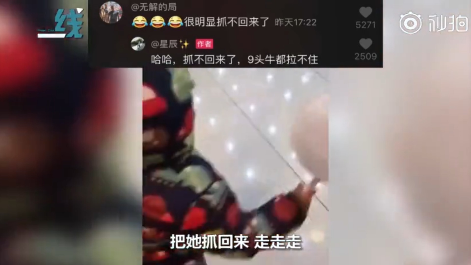 lv|萌娃迈着小短腿一路小跑向爸爸“告密”爸爸不好了 妈咪去LV了