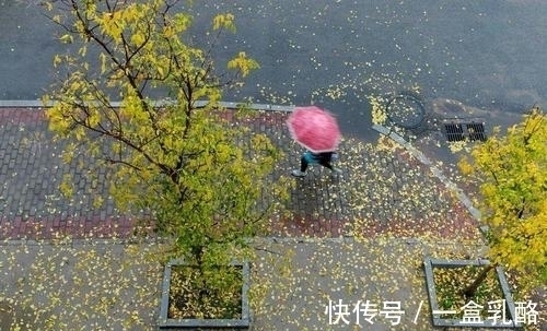 满街$“一路独行风渐紧,满街心事透衣衫”这句诗如何?七言绝句欣赏