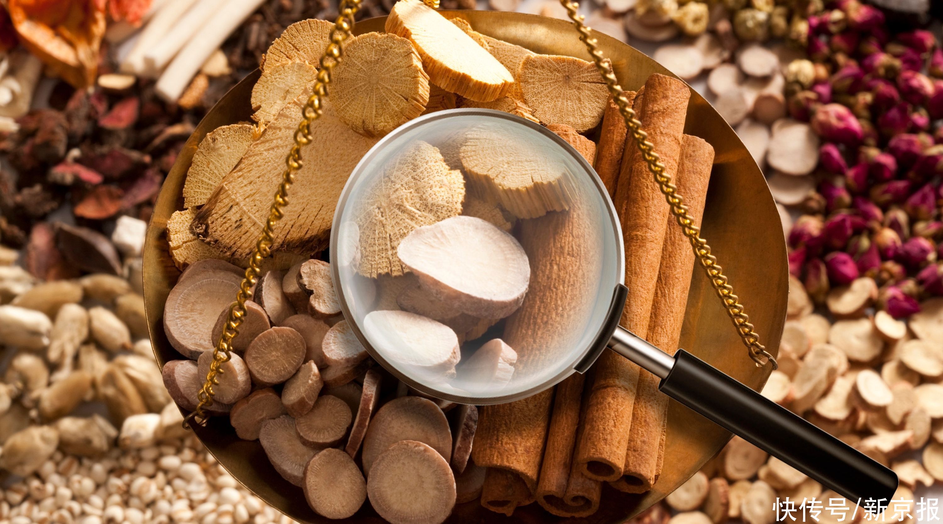 野三七|一字之差 吃错要命 专家提示容易混淆的中药