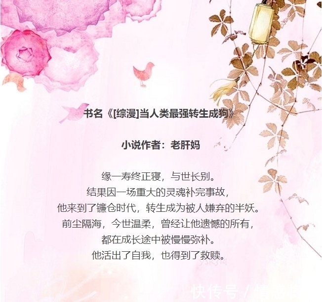 综漫#三本小说缓解书荒，质量文笔不错，成长与救赎，综漫，治愈甜文